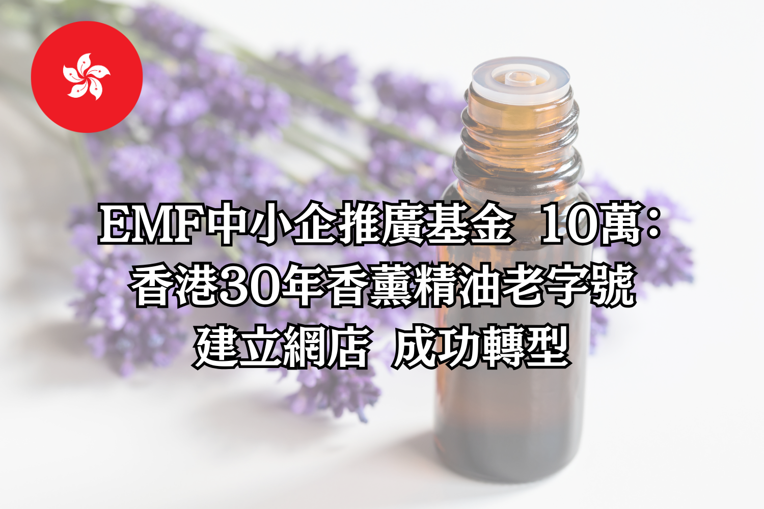 EMF中小企推廣基金